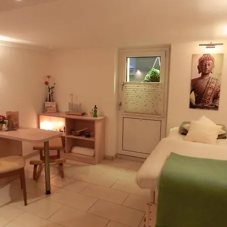 Am Schwimmbad Hotel 3*